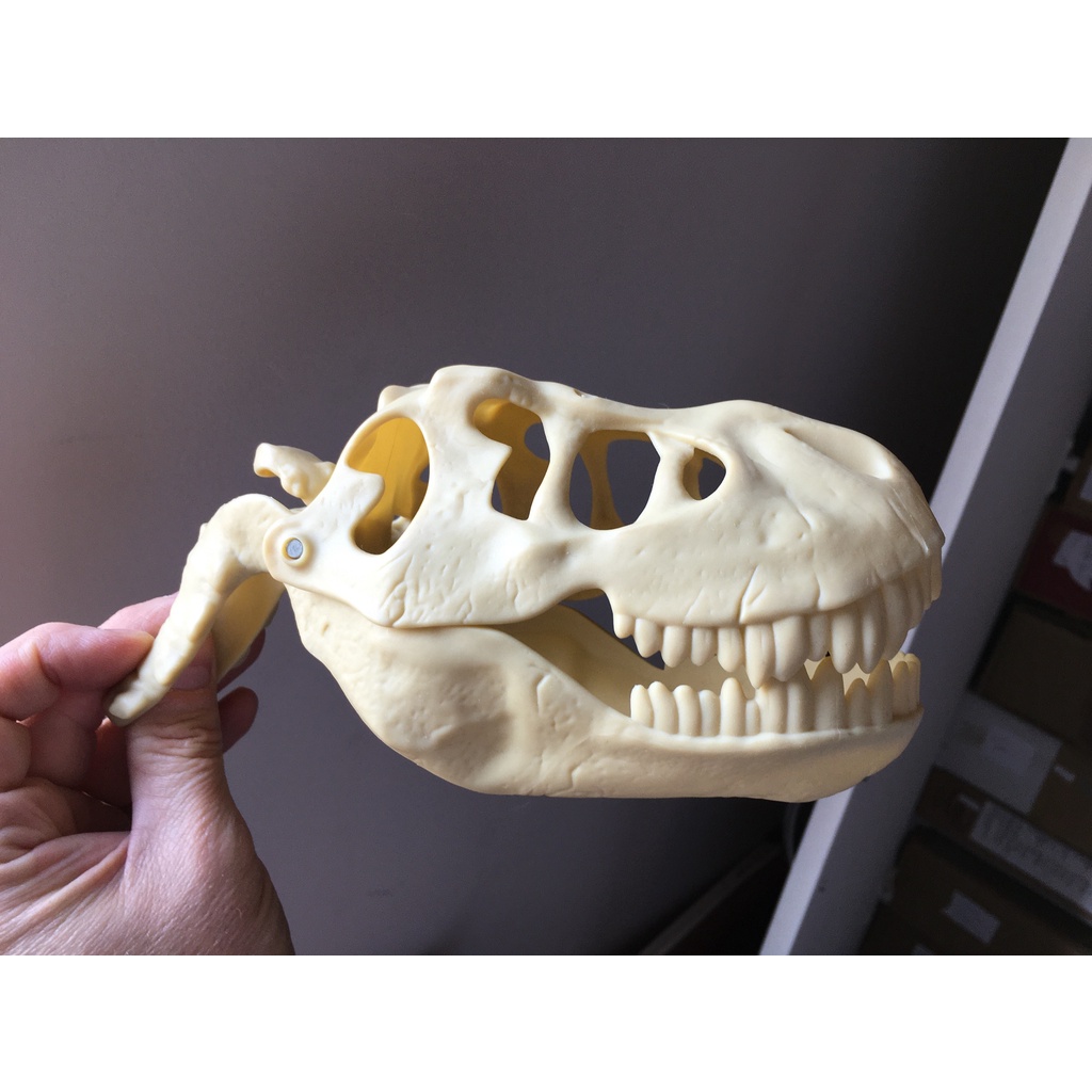 Esqueleto Dinossauro T-rex - ( quebra cabeça ) 60cm - Escorrega o Preço