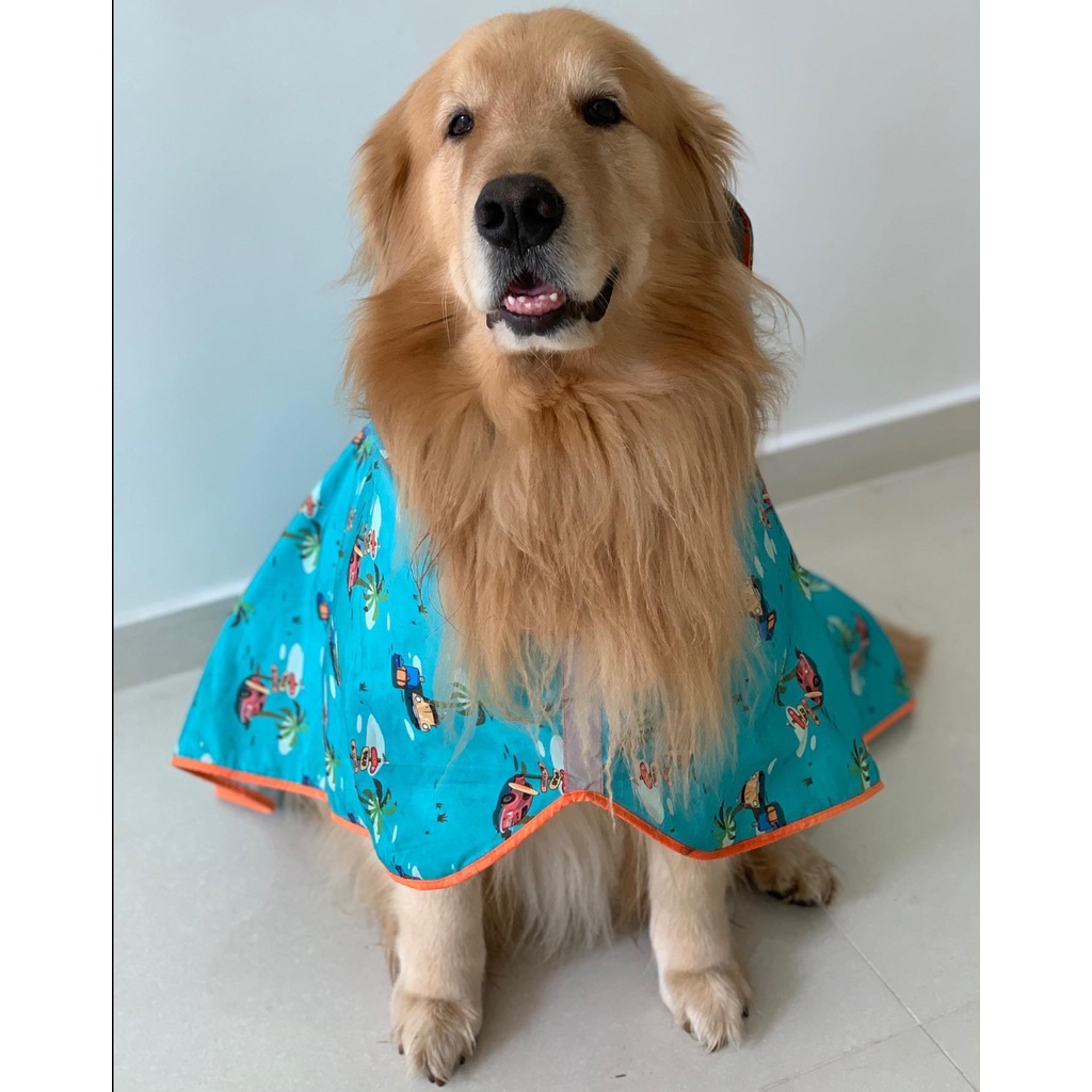 Capa de Chuva com Capuz para Cachorro Grande 100% impermeável | Shopee ...