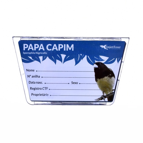 RN Papa-capim