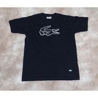 CAMISETA LACOSTE SPORT CROCODILO FRENTE_TH1801 - CAMISETA LACOSTE