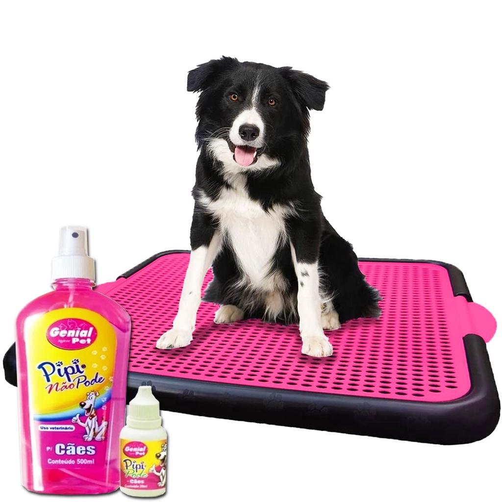 Sanitário canino xixi dog Educador tapete para cachorro + Kit Educador ...