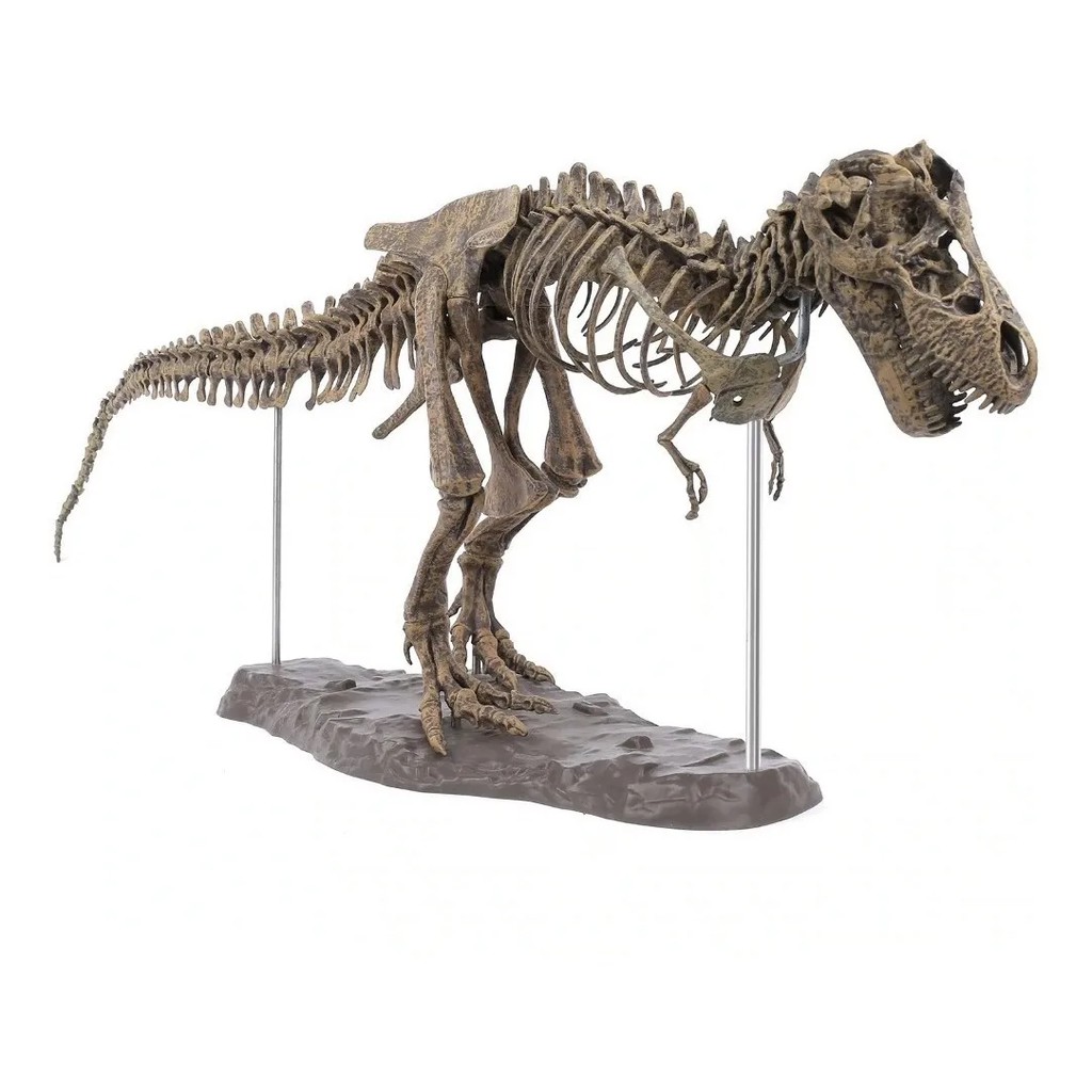 Esqueleto 4d Tiranossauro Rex Grande Dinossauro Para Montar