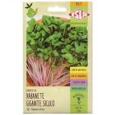 Sementes de Microverde de Rabanete 3g - Isla