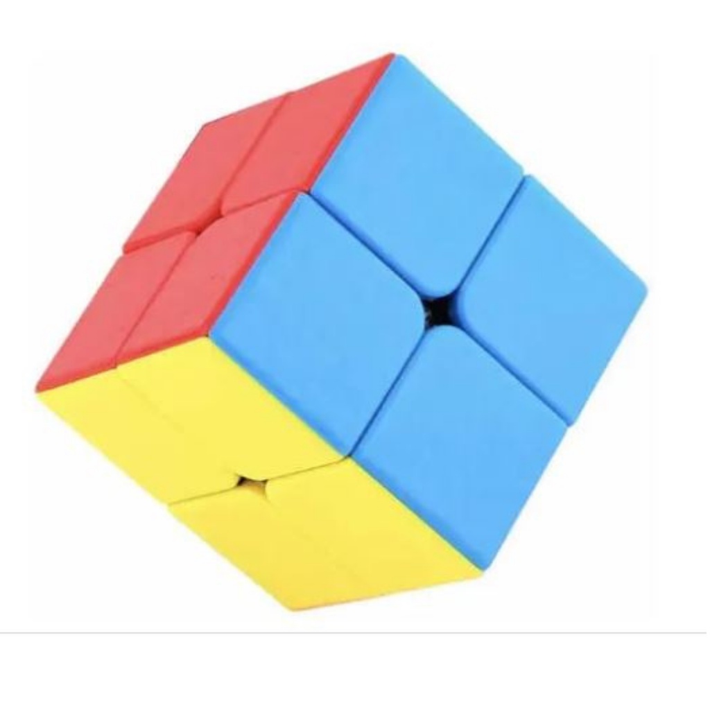 Cubo Mágico 2x2 - Tese Pedagógicos