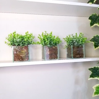 Vasinho com planta artificial para decoração vaso de vidro quadrado plantinha eucaliptos