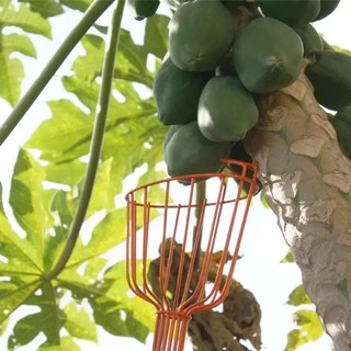 Colhedor Grande Para Frutas Leve Forte / colhedor Sem Cabo