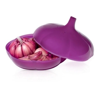 Tupperware Tupper alho Pronta Entrega | Shopee Brasil