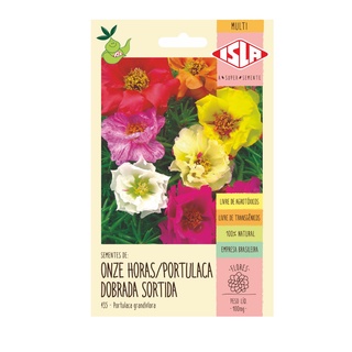 Sementes de Portulaca Dobrada Onze Horas Colorida Sortida