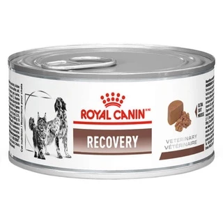 Ração Úmida Lata Royal Canin Veterinary Diet Recovery Cães e Gatos Adultos 195g