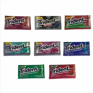 Chiclete Trident Caixa Escolha o Sabor C/ 21un - Adams