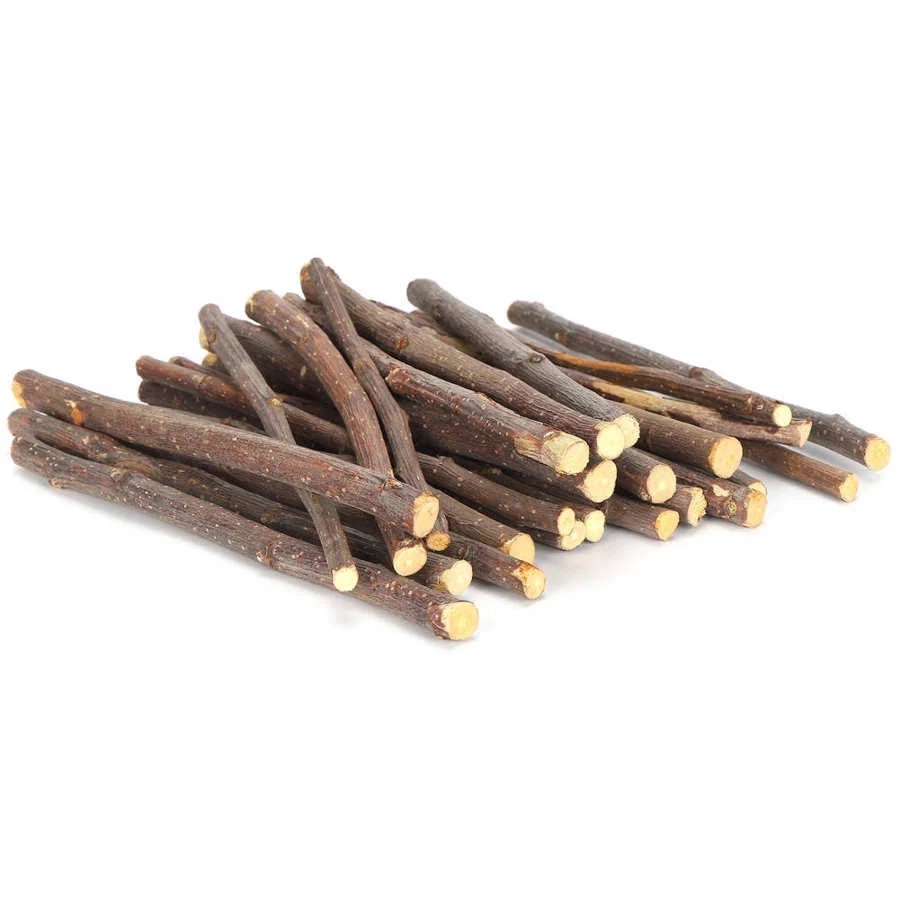 Galhos de Amora Natural Orgânico - Pet Roedor usando o produto - Produto Premium Pet Caprili Shop