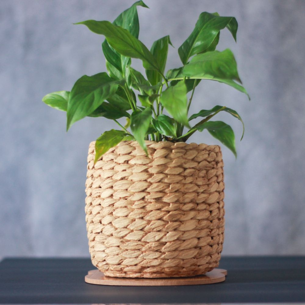 Cachepot Decorativo Fibra Natural em Cimento - Mart (16 cm) | Shopee Brasil