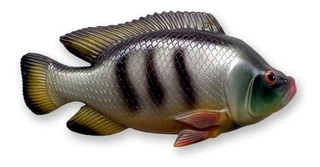 Peixe Tilapia Quadro Resina E Fibra Decoração