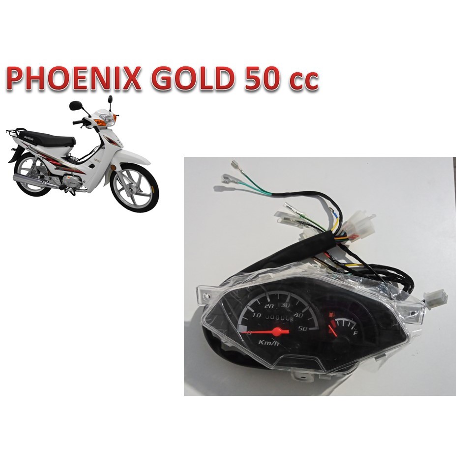 Painel Completo Da Phoenix Gold Shineray Original