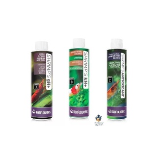Reeflowers Kit Shrimp