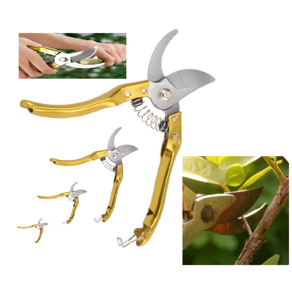Tesoura Alicate De Poda Podar Plantas Galhos Grande dourada Shopee Brasil