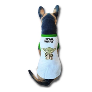 p>Um gatinho vestido de mestre Yoda de Star Wars</p>