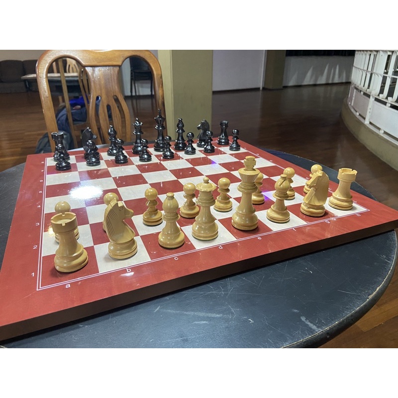 Baú de jogo antigo - jogo de xadrez Staunton - gamão e damas (1