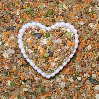 Mix de Sementes Caseiro Balanceado para Hamster - 150g, 250g, 500g