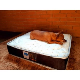 Colchão Caminha Pet Luxo Raças Médias 60x50x10cm Para Cães e Gatos.