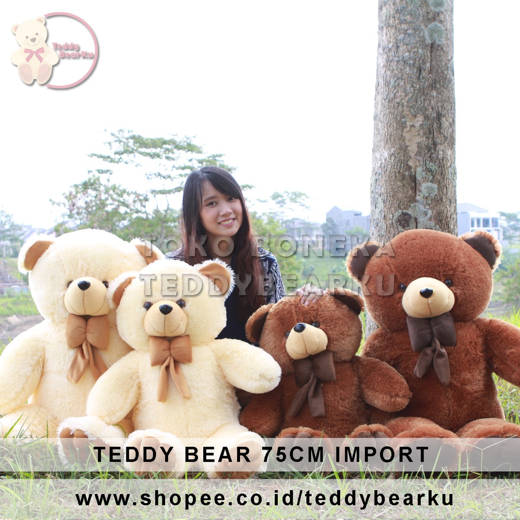 Teddy store bear shopee