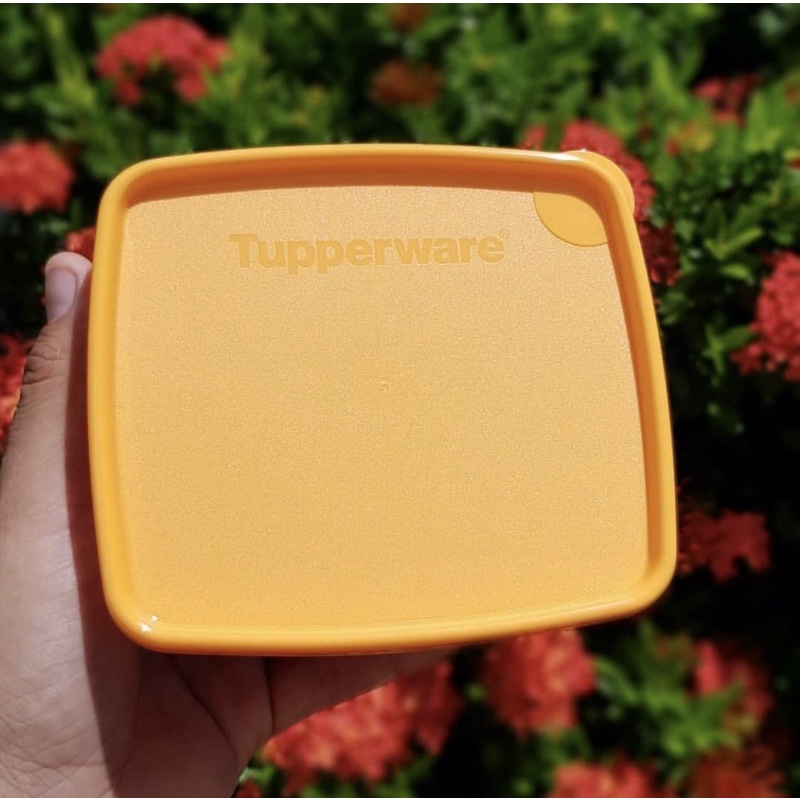 Tupperware Jeitosinho Céu, Mango e Pink 400ML | Shopee Brasil
