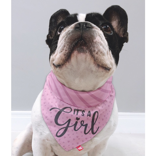 Bandana Pet Para Chá Revelação Girl - Dupla Face