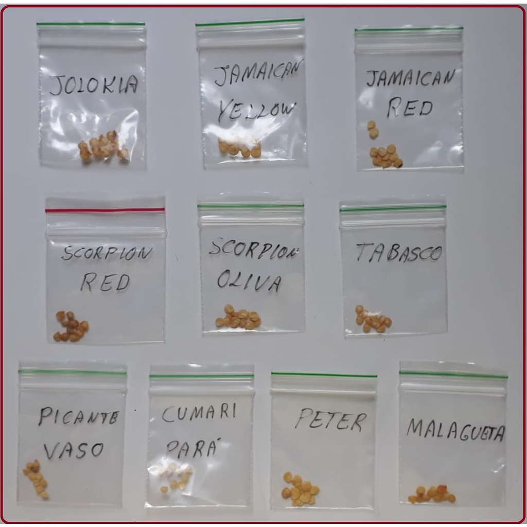 Sementes de Pimentas Picantes - Forte - 10 Espécies Diferentes