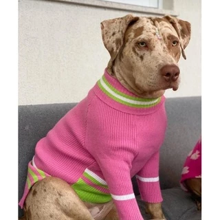 Roupa pet em lã para pitbull ou raças grandes até 30kg.