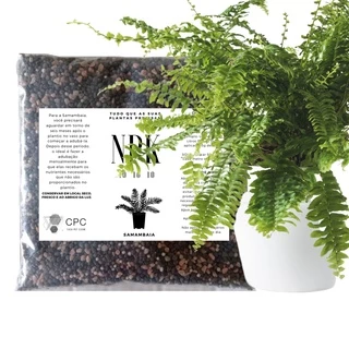 Fertilizante Adubo Para Samambaia Npk 10 10 10 - 1Kg