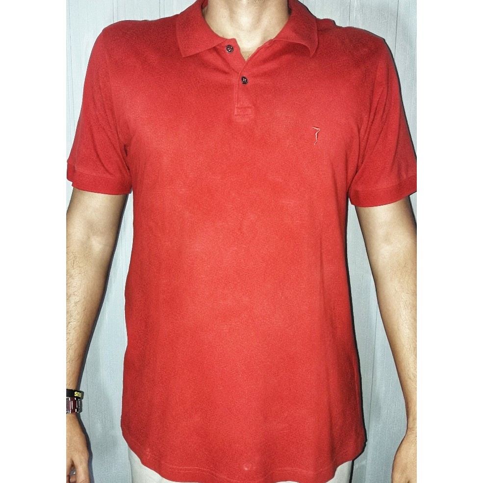 Camisas cheap polo bonitas