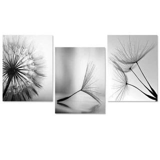 Quadro Decorativo Kit 03 Peças 40x60 Dente De Leão Arte Minimalista Para Sala Quarto Escritório Sem Moldura