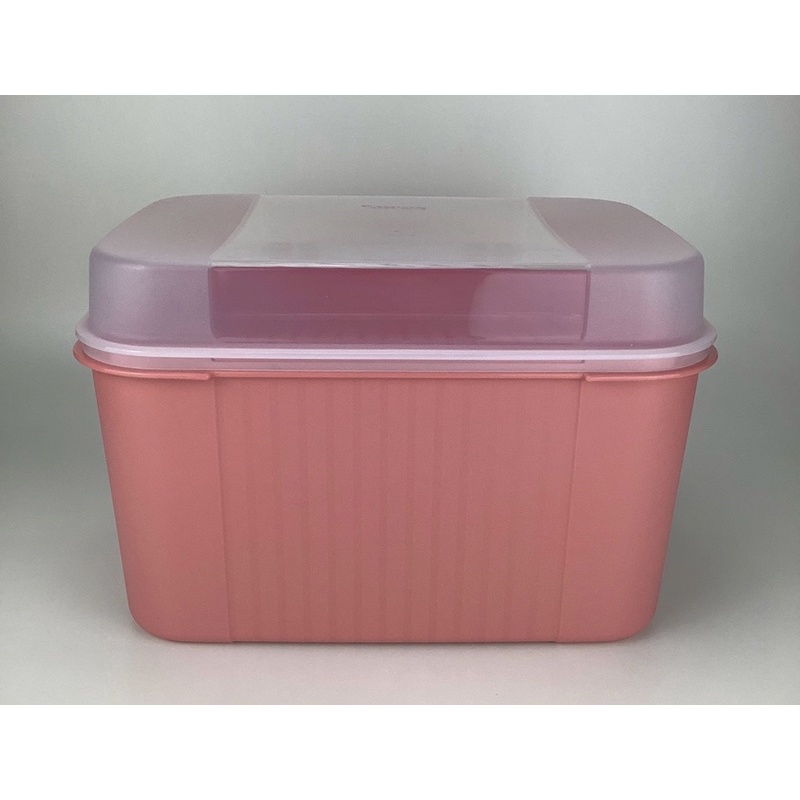 Tupperware Caixa visual Box 4,5 litros | Shopee Brasil