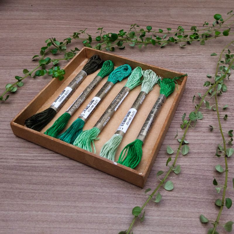 Meada Maxi Mouline KIT 6 unidades (tons green) | Shopee Brasil