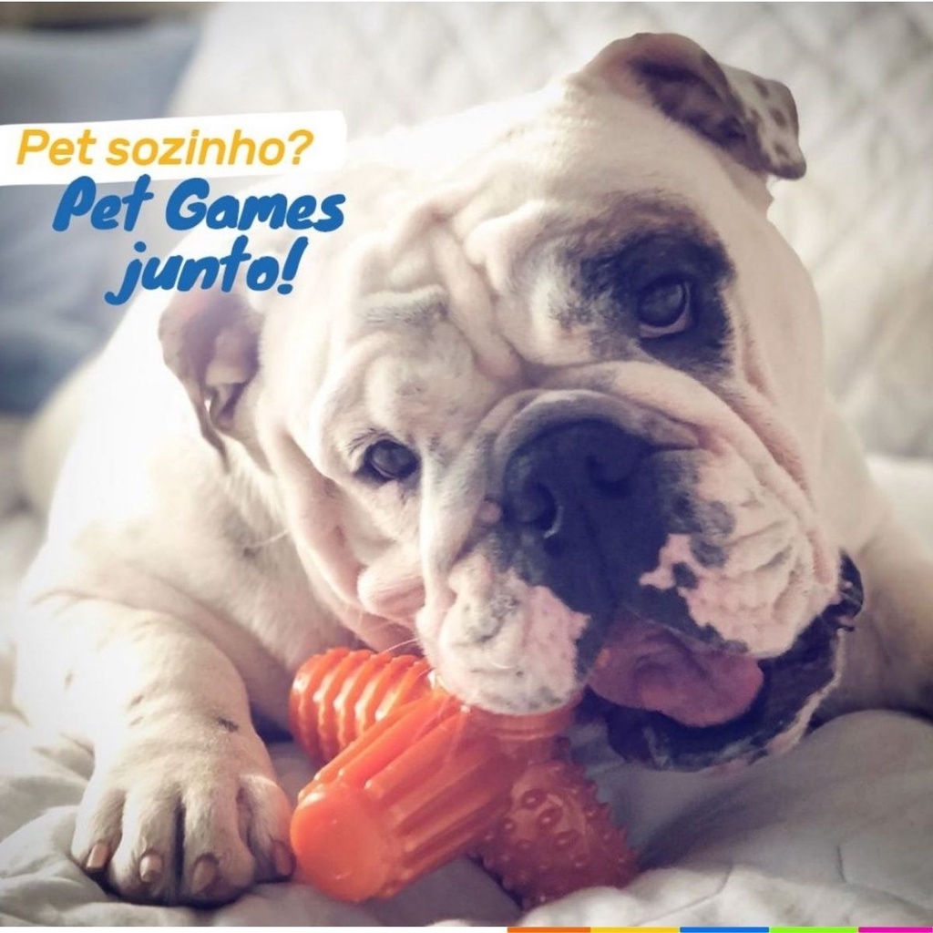 Brinquedo Mordedor Pet Games 4 Dogs Nylon Vermelho