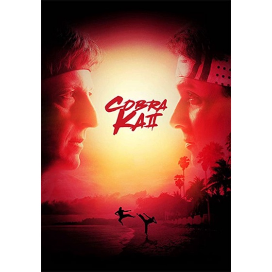DVD - COBRA KAI - AS 5 TEMPORADAS | Shopee Brasil