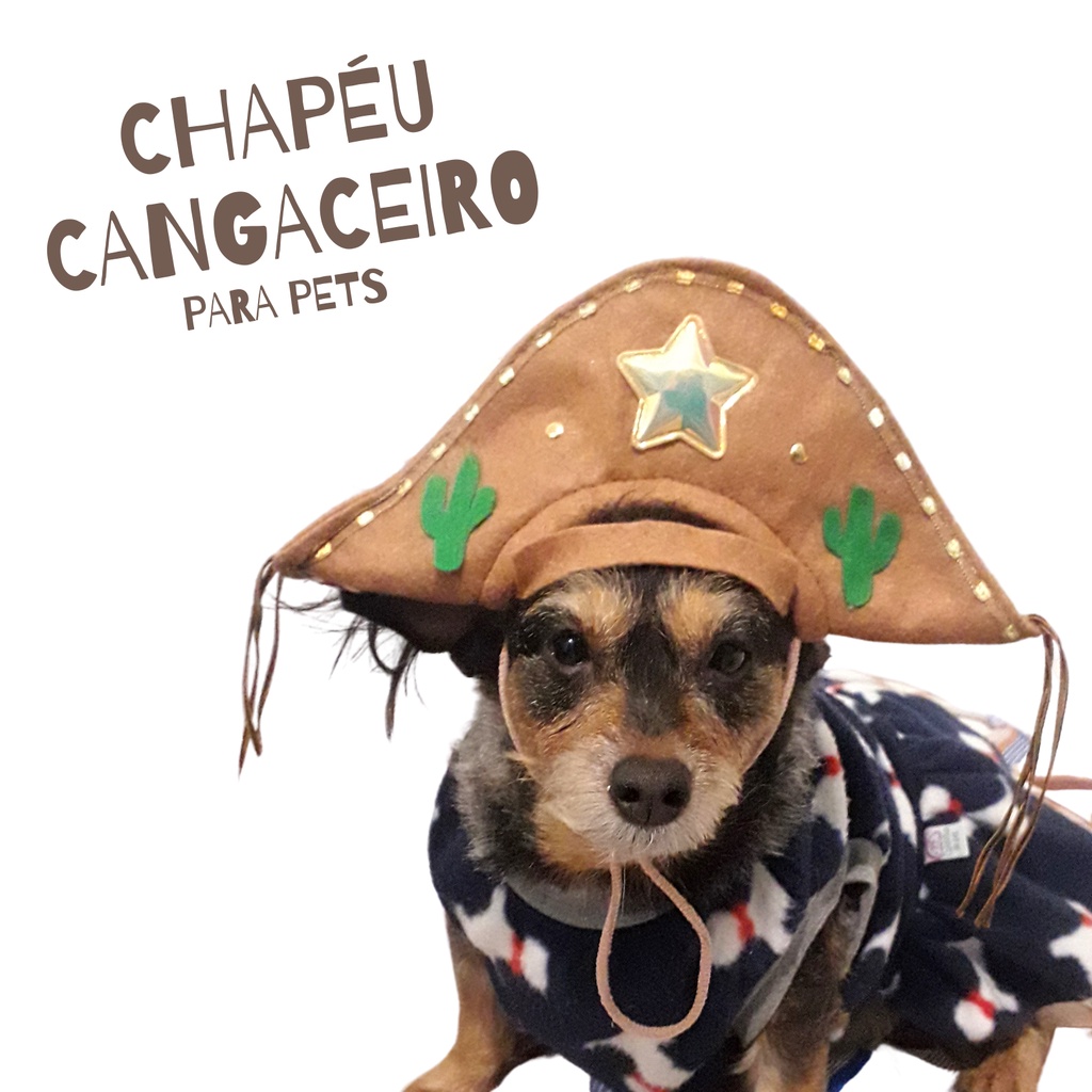 Chapéu Cangaceiro Lampião Para Pets Cachorro e Gato
