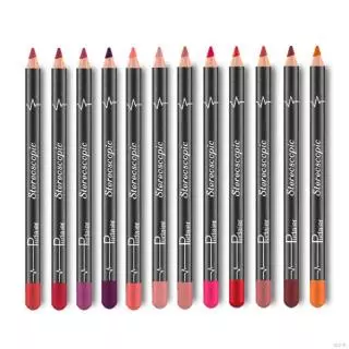 12 Cores/Set Elegante Batom Mate Sexy À Prova D