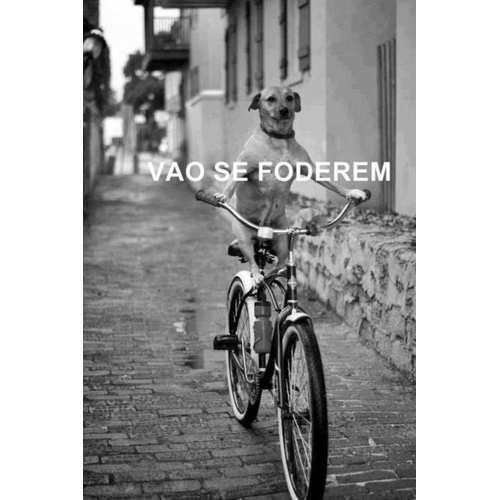 Imã Geladeira Frase Vão Se Foderem Cozinha Decoração Present