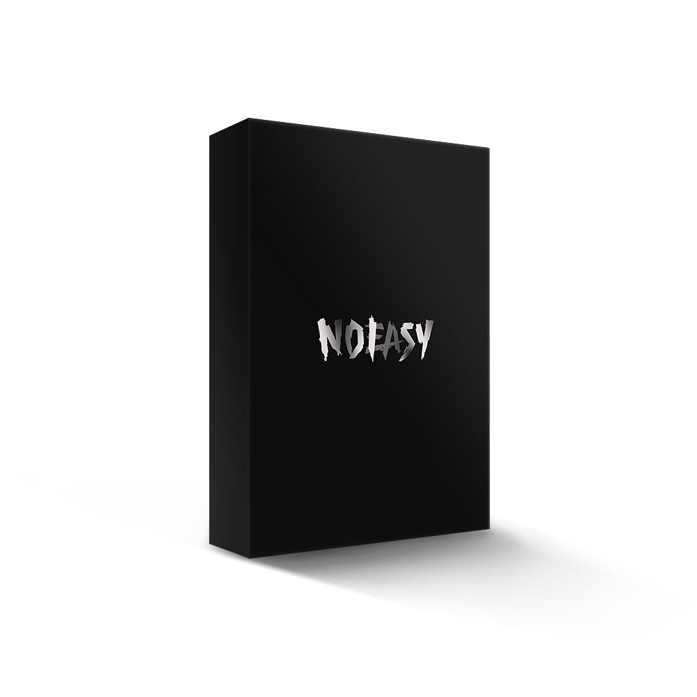 新品未開封 【在庫ラスト】初回特典付き NOEASY StrayKids