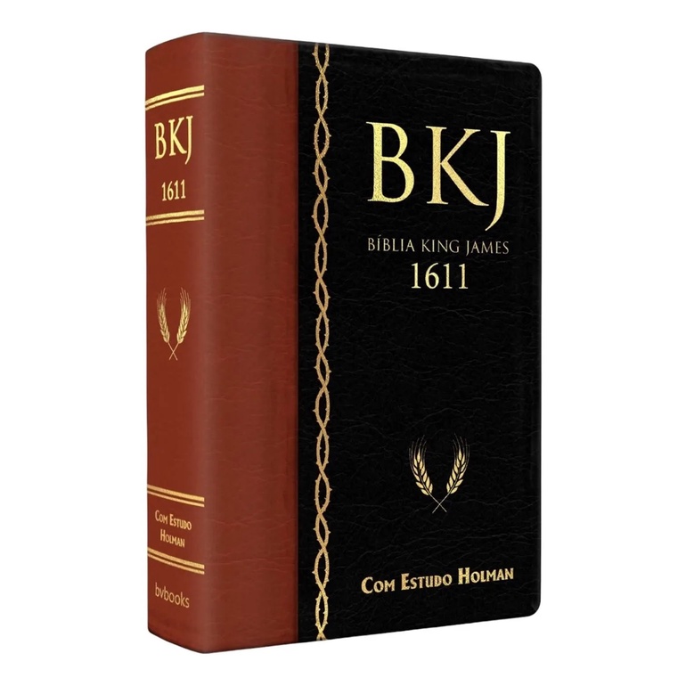 Biblia De Estudos King James BKJ Holman Preta Marrom Atualizada Grande ...