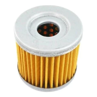 Filtro De Óleo Shineray Gy 250 X2 Off Road