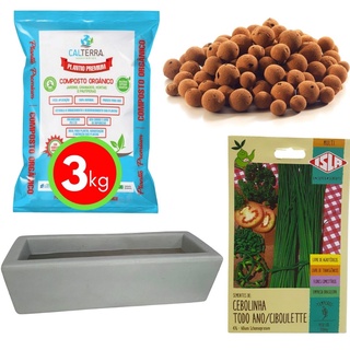 Kit Horta Plantio Fácil de Cebolinha e Jardineira Cimento