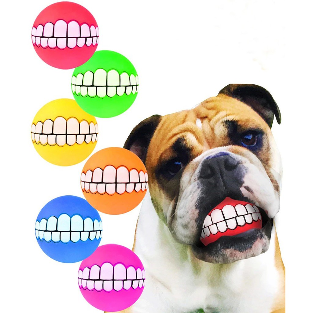 Bola Bolinha Dente Divertida Pet Cachorro Brincar Mordedor Anti Stresse