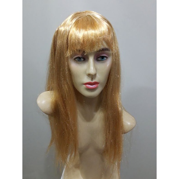 Peruca longa lisa Loira | Shopee Brasil