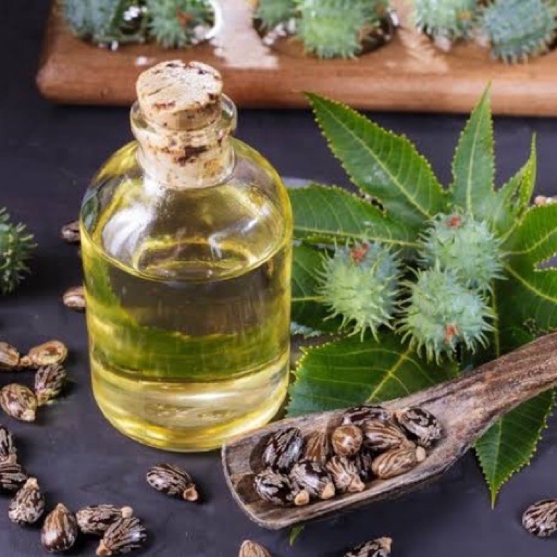 Óleo Vegetal Rícino (Mamona - Prensado à Frio )