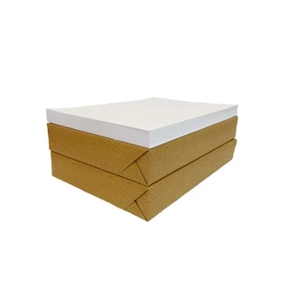 Papel Offset 180g Branco Sulfite A3 42x29,7cm 100 Folhas