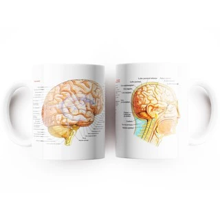 Caneca Anatomia Cérebro Medicina Médico Estudante vestibulando