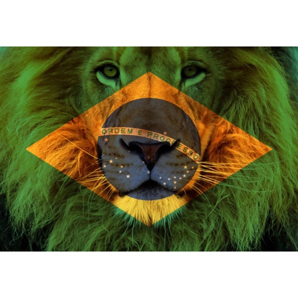 Bandeira Rei Jesus Leão Tribo De Judá Uma Face 90x128cm - Cod