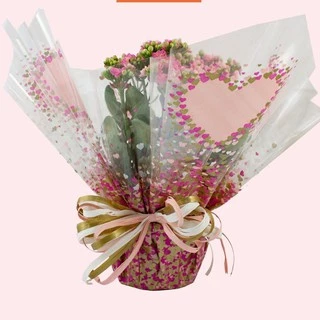 Kit 10 Folha poli quadrado 69x69 celofane - para vasos de flores, cestas de café e presentes, festa na caixa NATAL